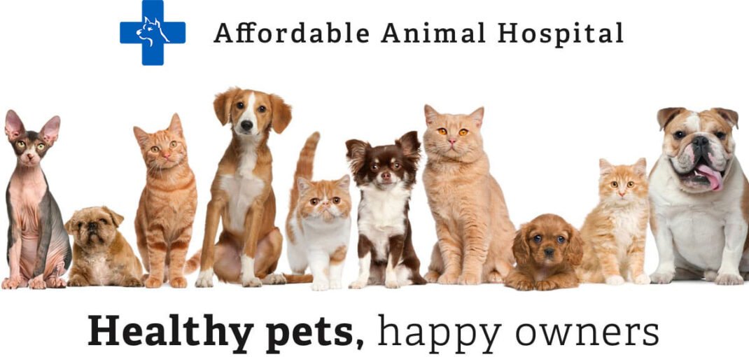 Affordable Animal Hospital Eagle Rock