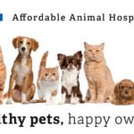 Affordable Animal Hospital Eagle Rock